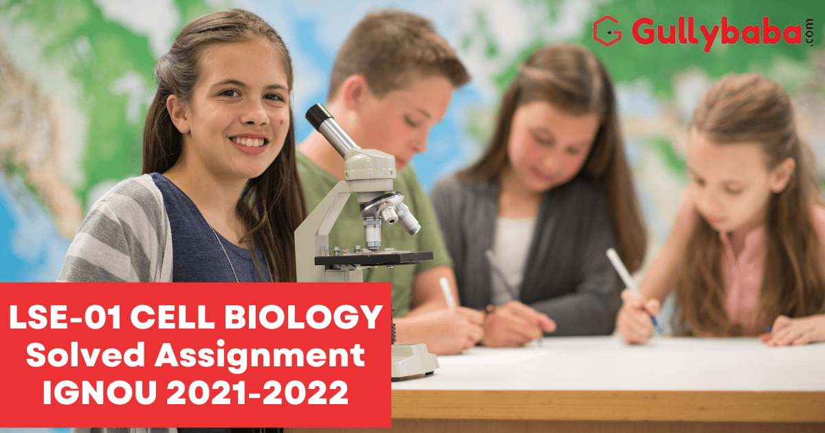 biology assignment 2022