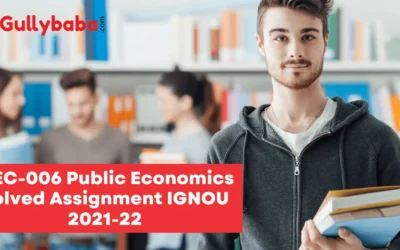 MEC-006 Public Economics Solved Assignment IGNOU 2022-23