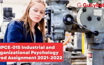 BPCE-015 Industrial and Organizational Psychology Solved Assignment 2022-2023