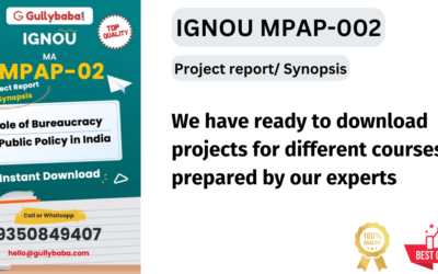 IGNOU Master in Public Administration (MPAP-002) Final Year Project Report Synopsis