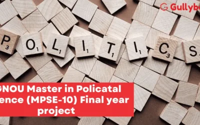 IGNOU Master in Political Science (MPSE-10) Final year project