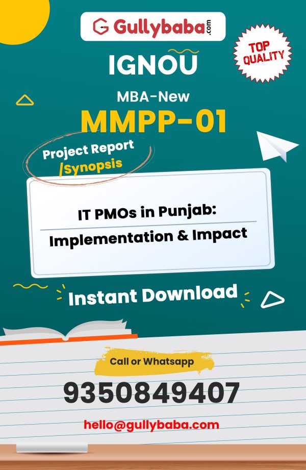 MMPP-01 Project – IT PMOs in Punjab: Implementation & Impact