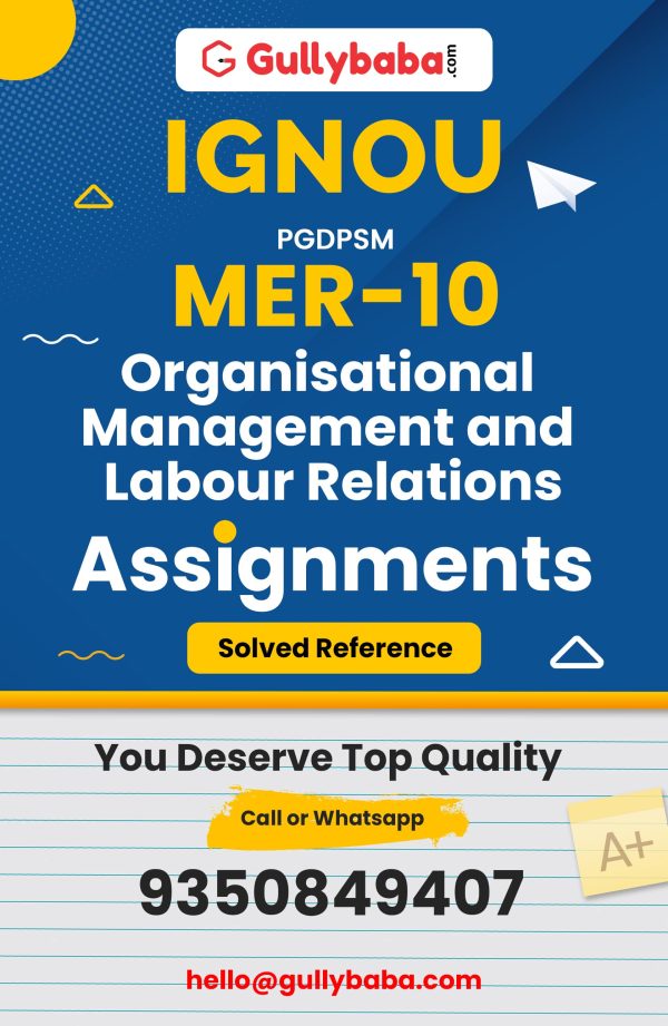 MER-10 Assignment