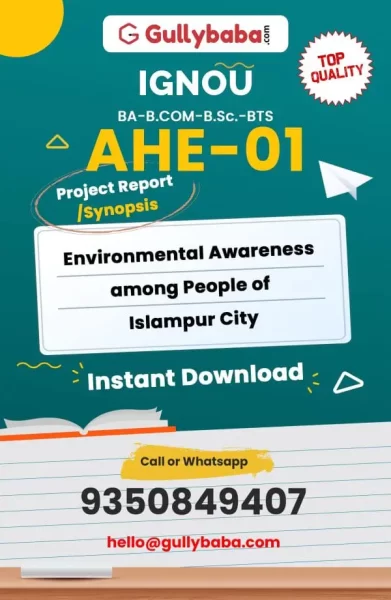 AHE-01-P-Environmental