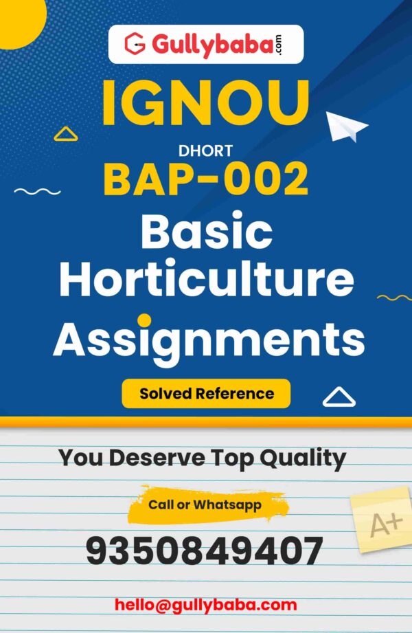 BAP-02 Assignment