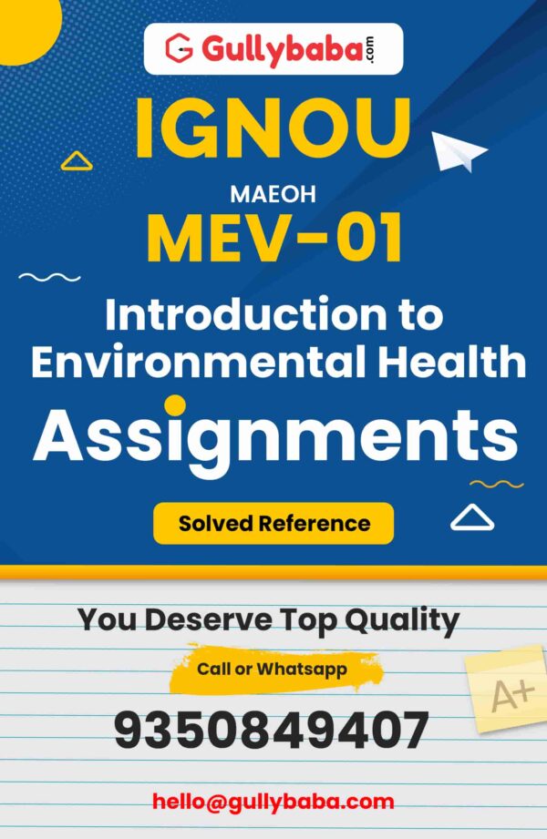 MEV-01 Assignment