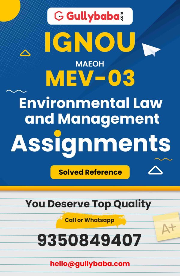 MEV-03 Assignment