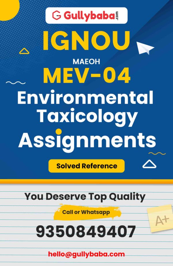 MEV-04 Assignment