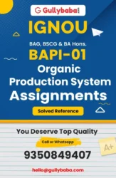 Assignment-BAPI-01-min