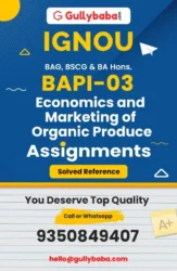 Assignment-BAPI-03