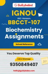 Assignment-BBCCT-107