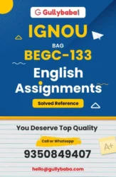 Assignment-BEGC-133