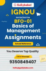 Assignment-BFO-01-min