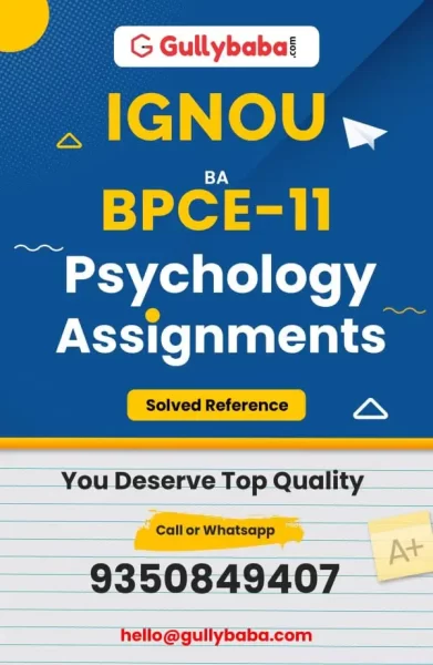 Assignment-BPCE-11-min