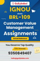 Assignment-BRL-109-min-600x921