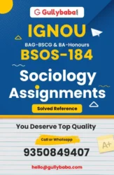 Assignment-BSOS-184