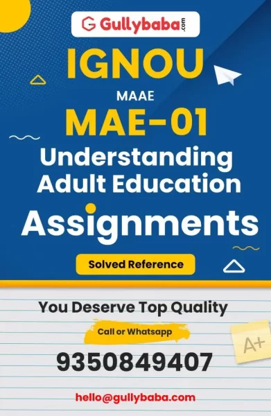 Assignment-MAE-01