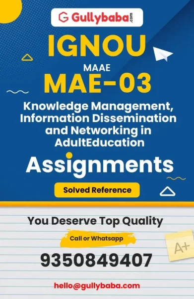 Assignment-MAE-03