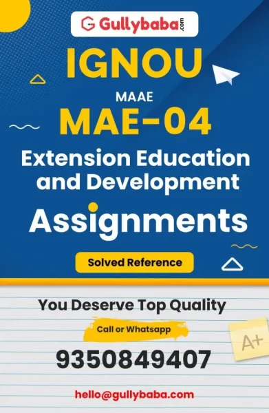 Assignment-MAE-04