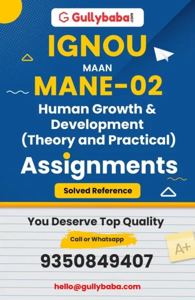 Assignment-MANE-02