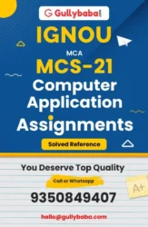 Assignment-MCS-21