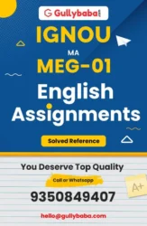 Assignment-MEG-01