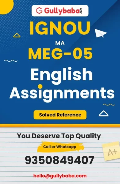 Assignment-MEG-05