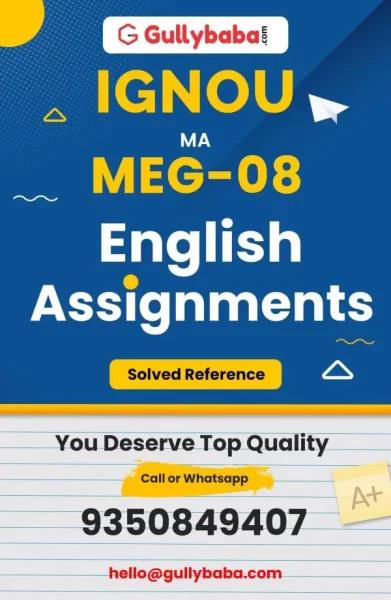 Assignment-MEG-08