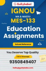 Assignment-MES-133-min