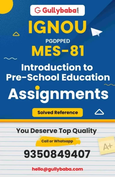 Assignment-MES-81-min