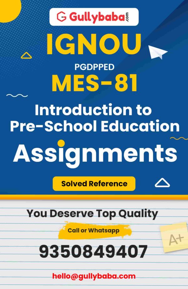 MES-81 Assignment