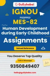 Assignment-MES-82-min