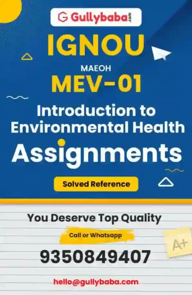 Assignment-MEV-01