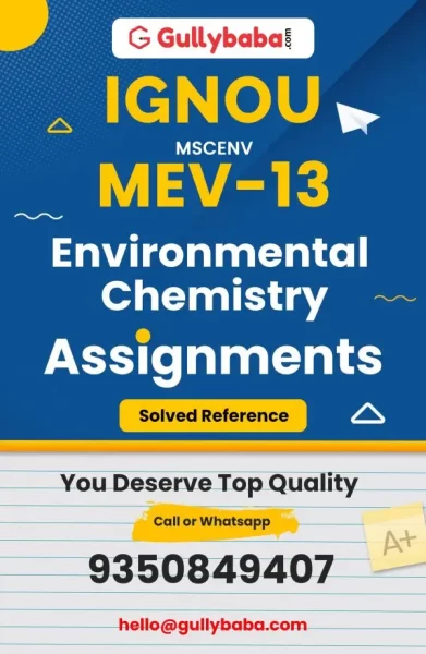 Assignment-MEV-13