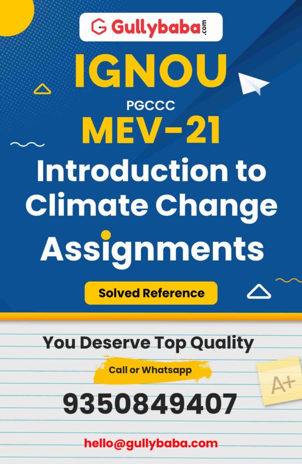 MEV-21 Assignment