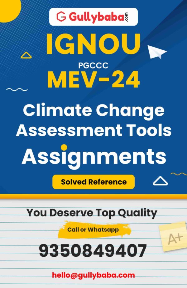 MEV-24 Assignment