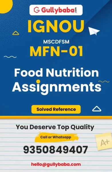 Assignment-MFN-01