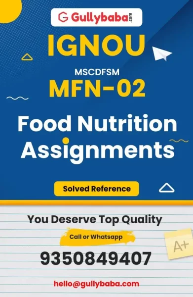 Assignment-MFN-02