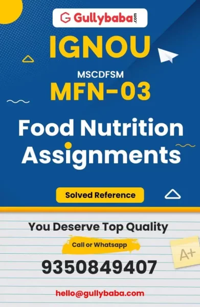 Assignment-MFN-03