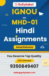 Assignment-MHD-01