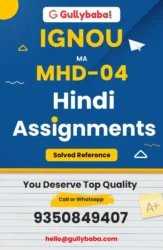 Assignment-MHD-04