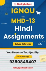 Assignment-MHD-13