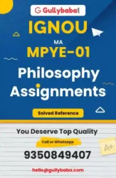 Assignment-MPYE-01