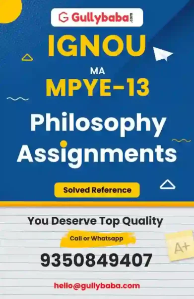 Assignment-MPYE-13