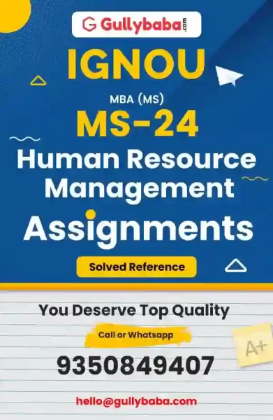 Assignment-MS-24