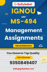 Assignment-MS-494