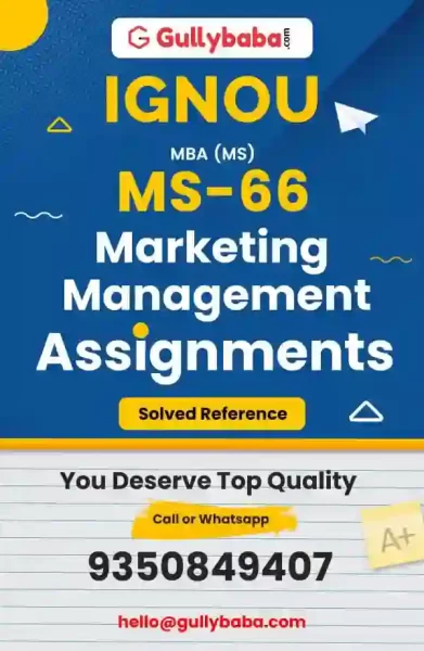 Assignment-MS-66