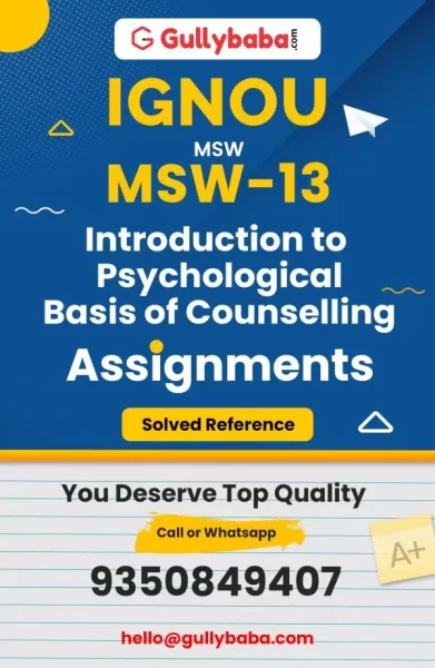 Assignment-MSW-13-min-