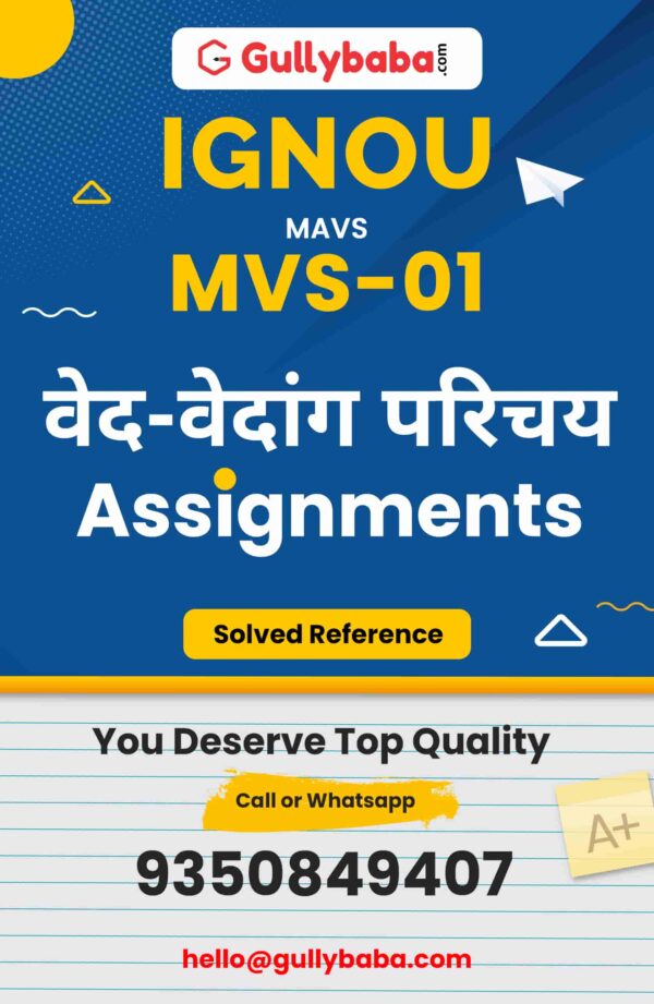 MVS-01 Assignment