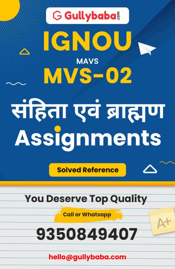 MVS-02 Assignment